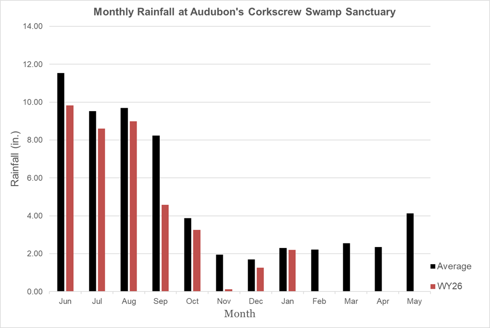 Bar graph showing rainfall amounts by month